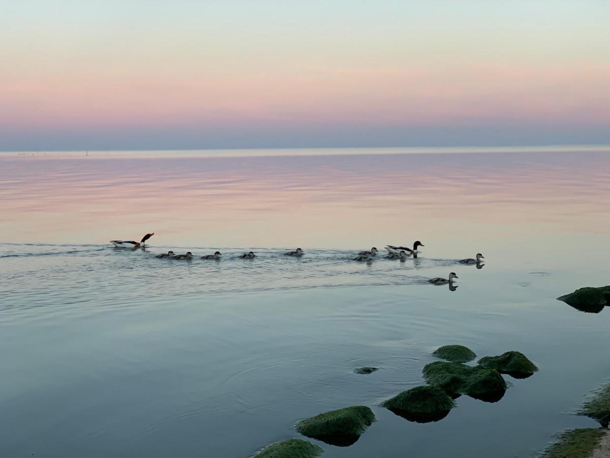Preilos Vasara Прейла Екстер'єр фото